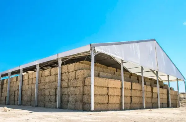 Effective Storage Solution for Packed Grain Products under Normal Temperature
